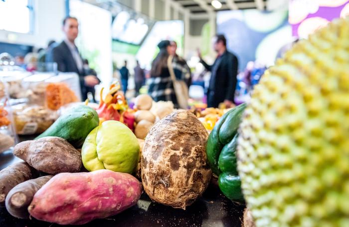 An der Fruit Logistica 2023 haben knapp 63.500 EinkäuferInnen und FachbesucherInnen teilgenommen