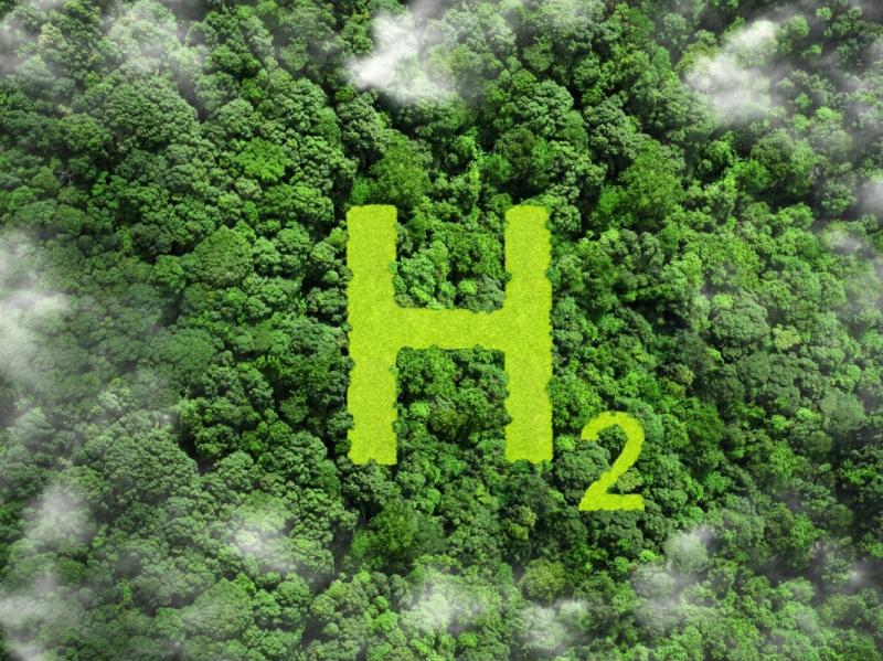 Berlin übernimmt Vorsitz der IWO