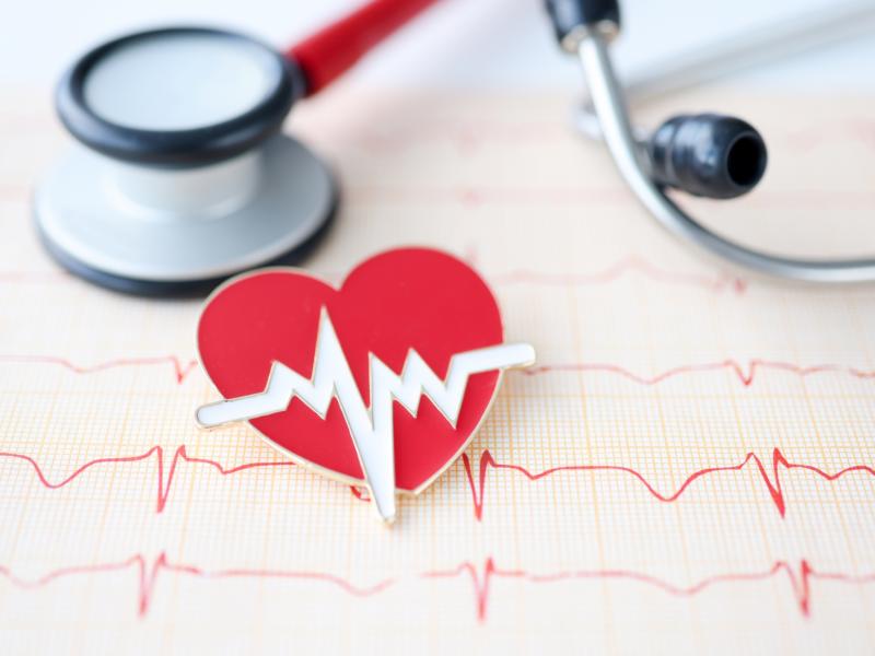 Gesundheit und Wellness: Die besten Adressen für Berliner Bürger