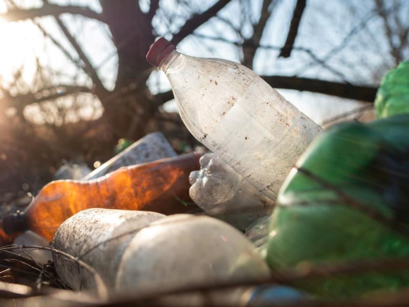 Berliner Umweltschützer fordern Verpackungssteuer