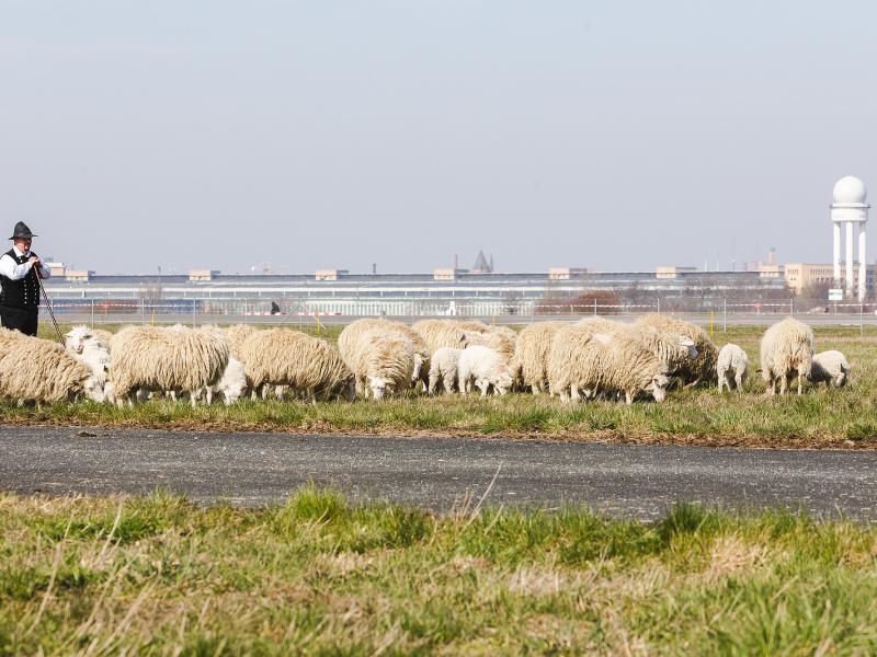 Neue Pläne für das Tempelhofer Feld