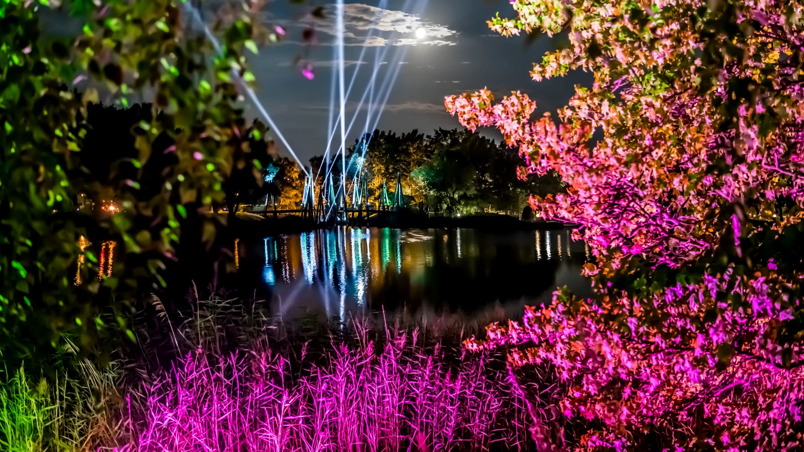 Wenn Natur zur Lichtkunst wird | David Marschalsky